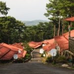 Rent house in Shillong