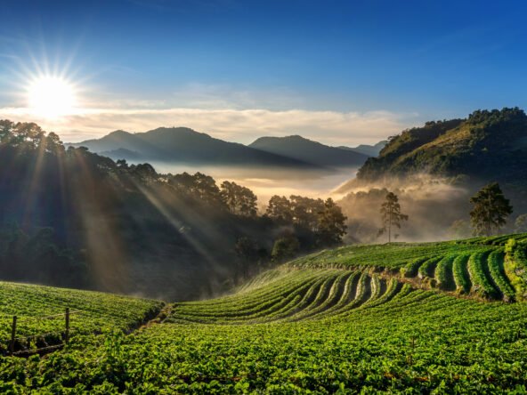 Meghalaya real estate