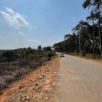 WhatsApp Image 2025 02 18 at 2.56.16 PM 3