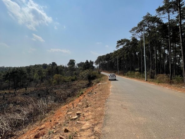 WhatsApp Image 2025 02 18 at 2.56.16 PM 3