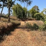 WhatsApp Image 2025 02 18 at 2.56.27 PM