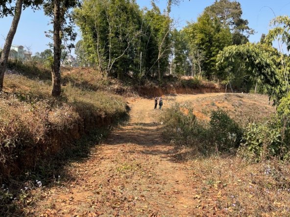 WhatsApp Image 2025 02 18 at 2.56.27 PM