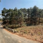 WhatsApp Image 2025 02 18 at 4.18.38 PM