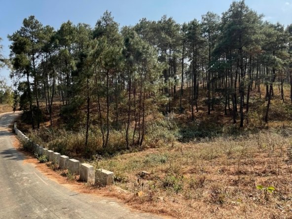 WhatsApp Image 2025 02 18 at 4.18.38 PM