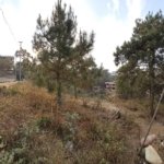 WhatsApp Image 2025 03 03 at 1.05.26 PM