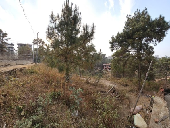 WhatsApp Image 2025 03 03 at 1.05.26 PM