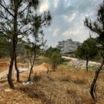 WhatsApp Image 2025 03 03 at 1.20.51 PM