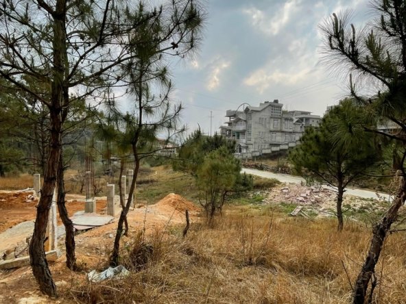 WhatsApp Image 2025 03 03 at 1.20.51 PM